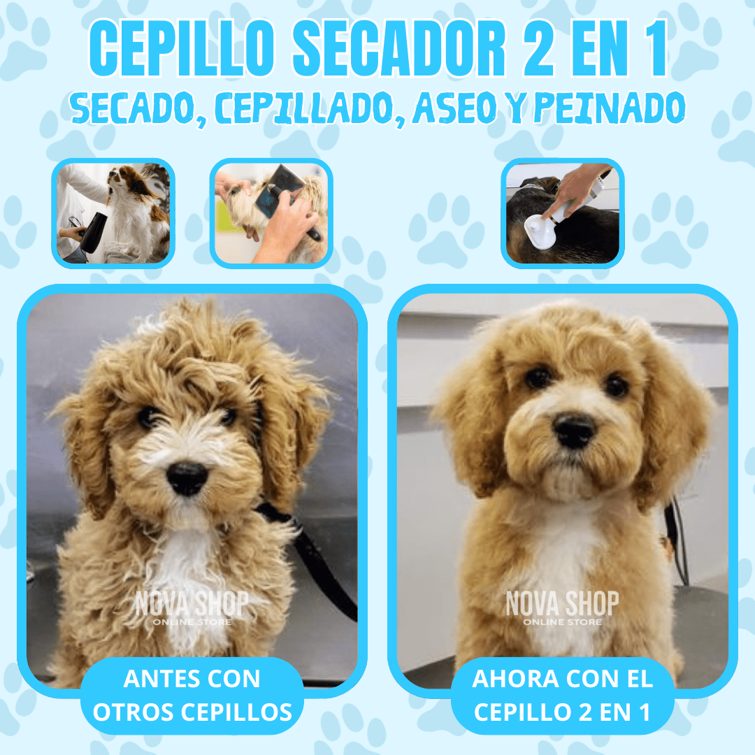 Secador de pelos para mascotas.