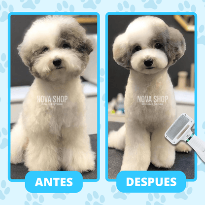 Secador de pelos para mascotas.